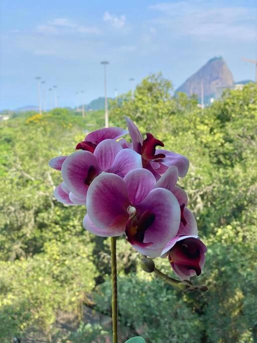 Apartamento Na Gloria Vista Mar Av S 232 Ap701