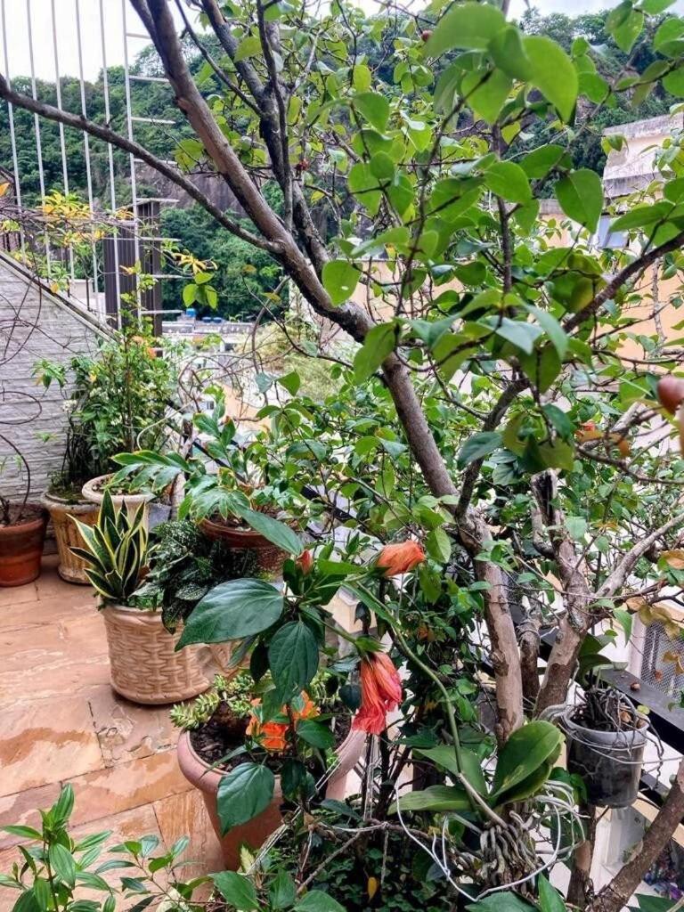 Sol Do Leblon Apartamento Rio de Janeiro