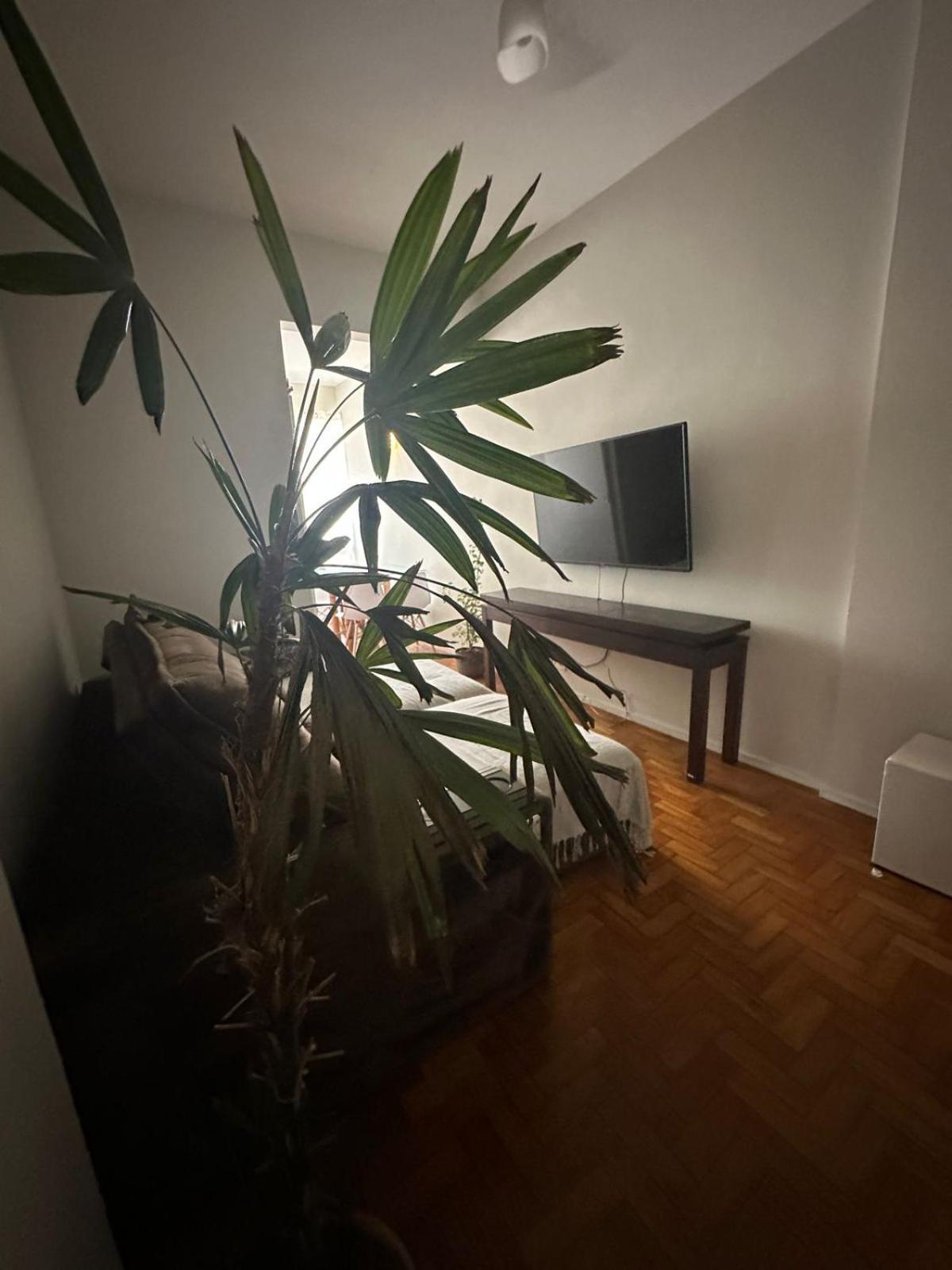 Apartamento Copainhanga 3 Quartos Amplo