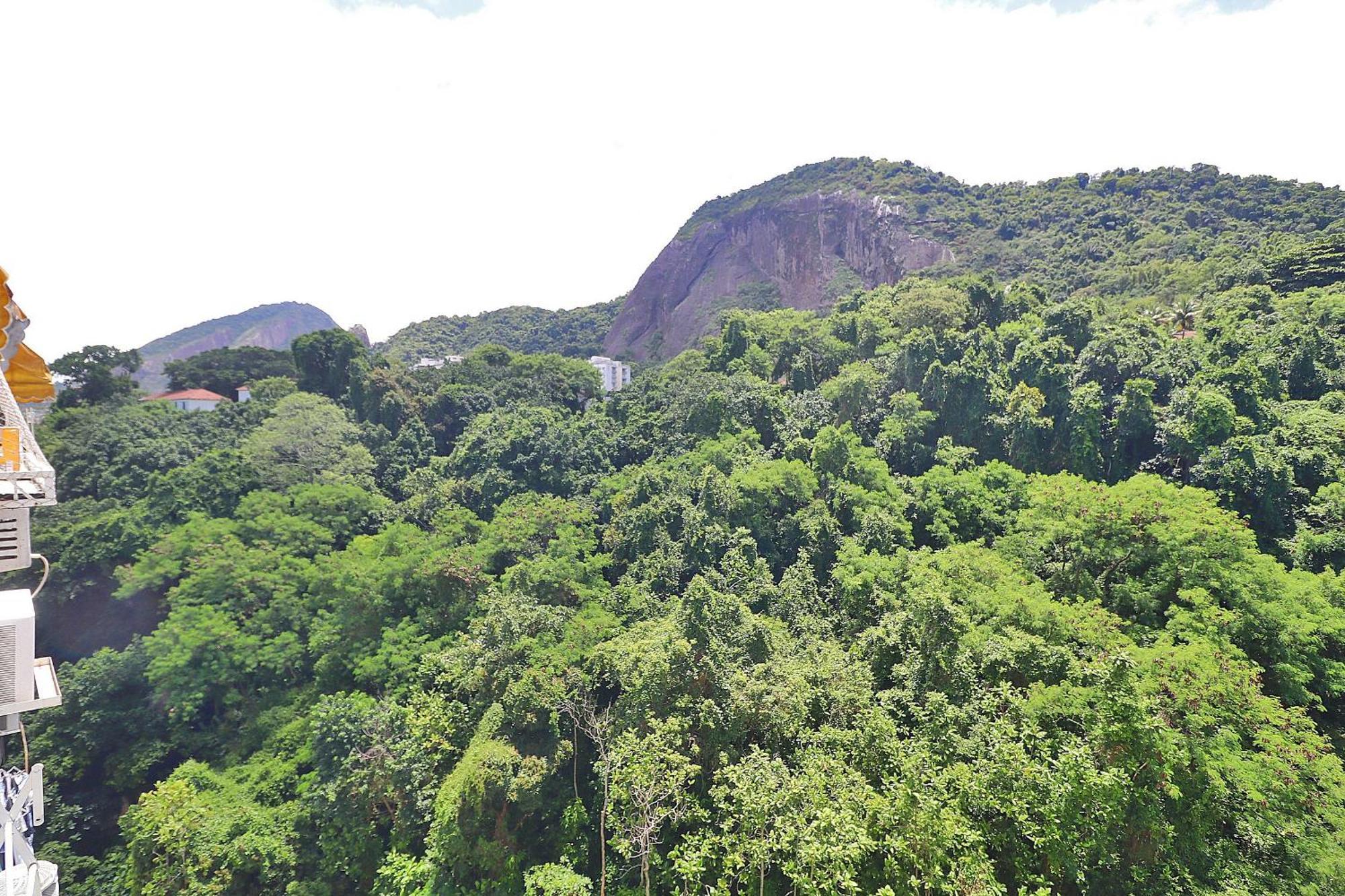 Apartamento E Sala Cercado De Natureza P/ 5 Pessoas *