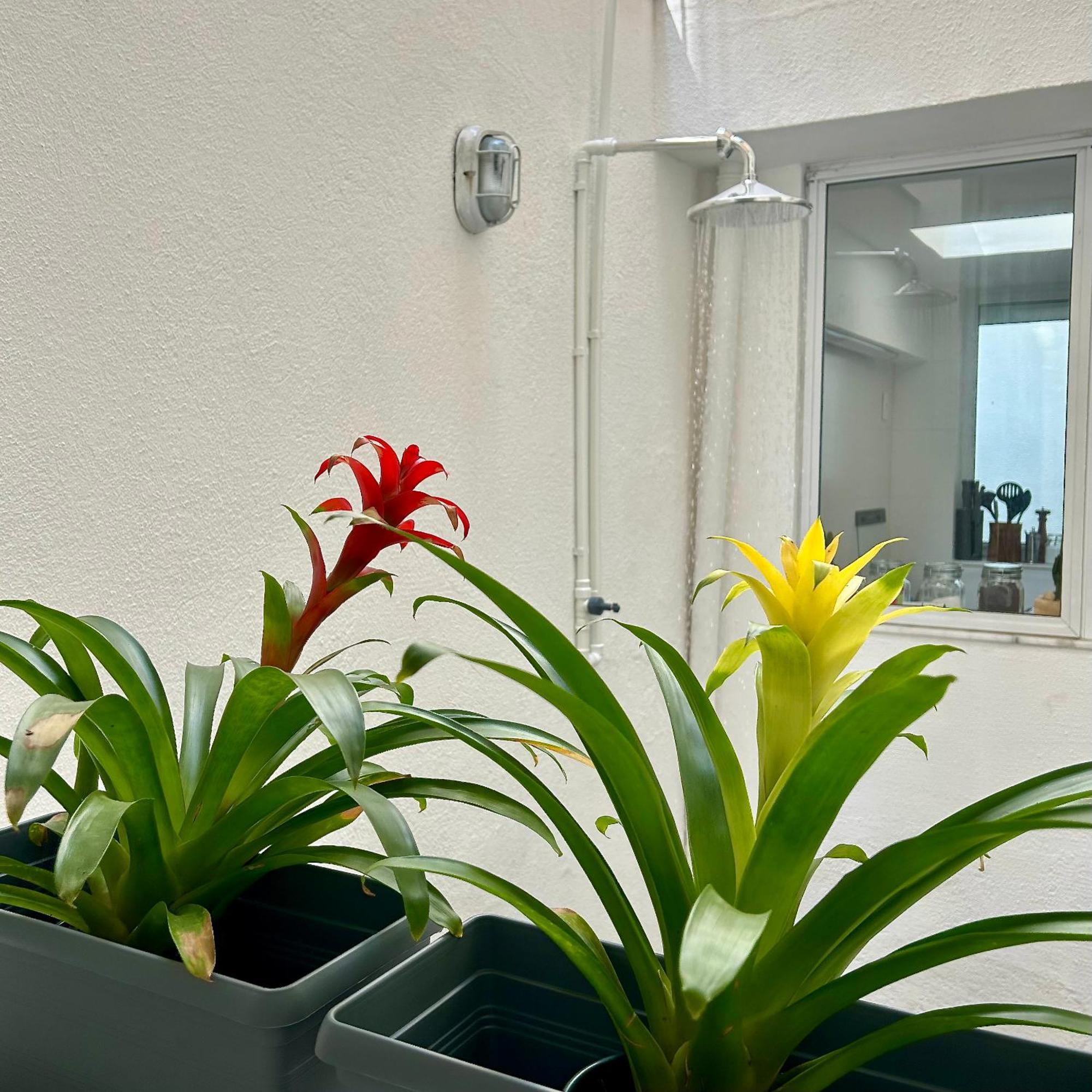 Apartamento Apartamento Tipo Casa No Coracao Da Zona Sul Do Rio *