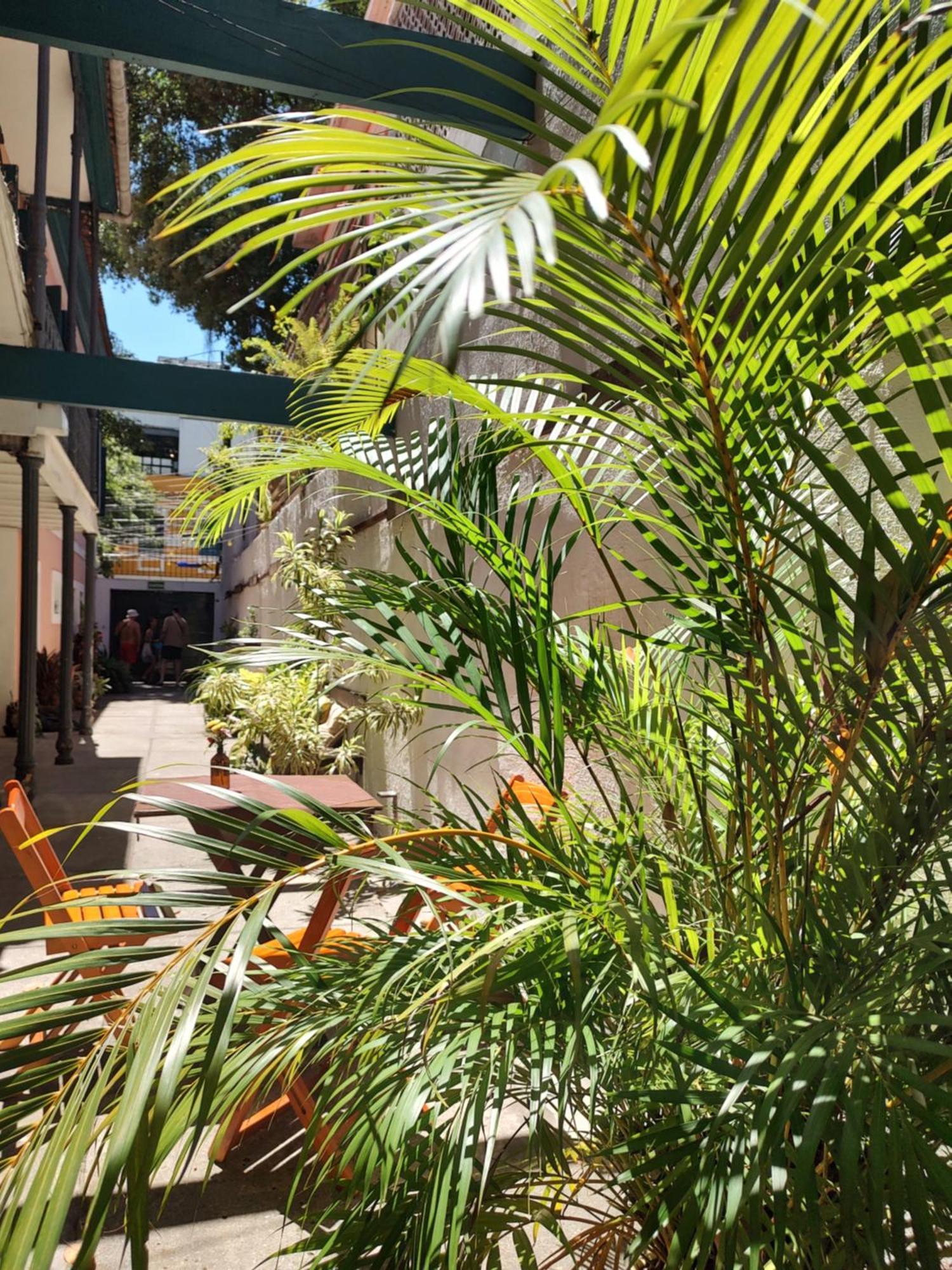 Rio Hostel *