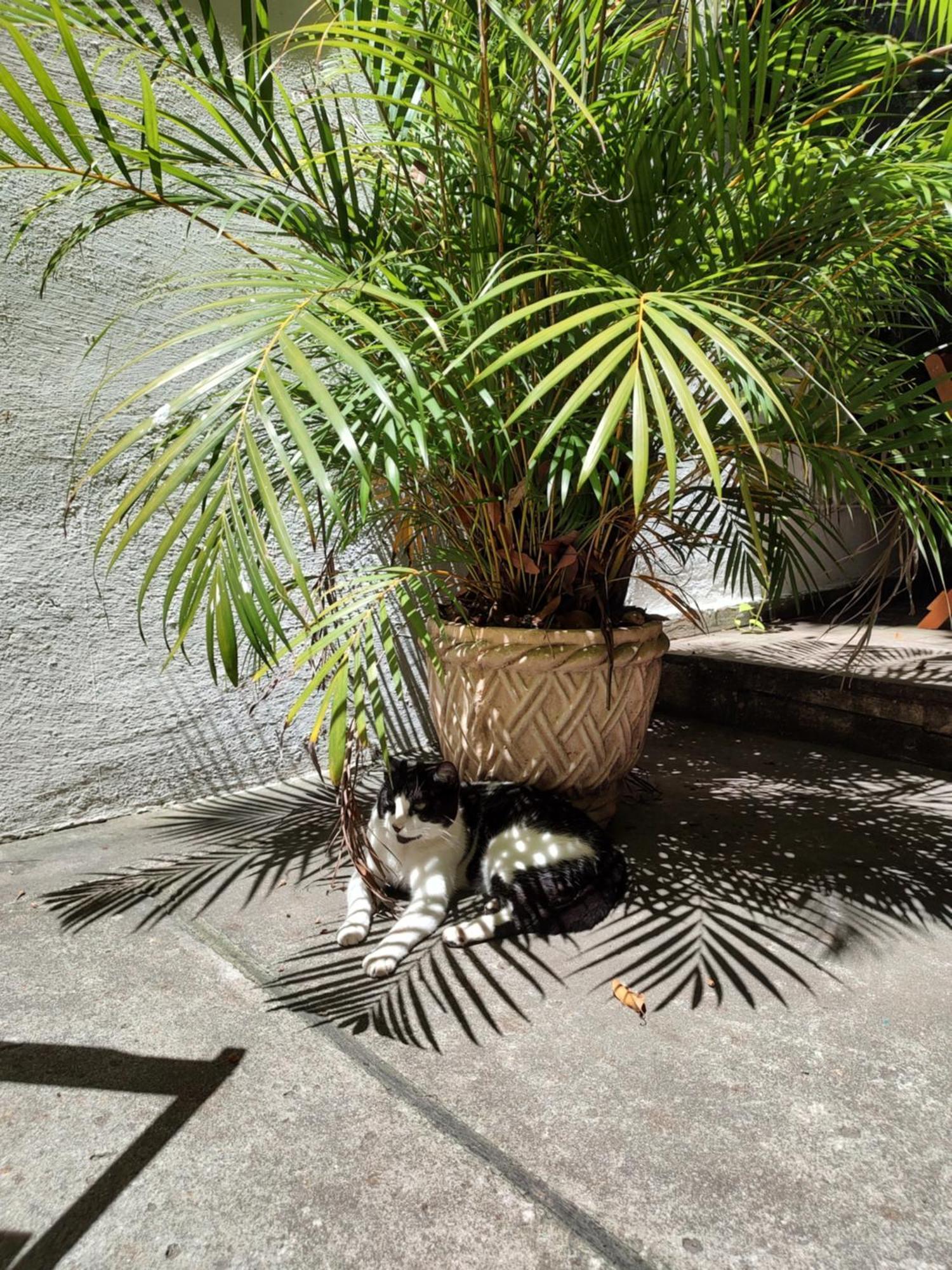 Rio Hostel *
