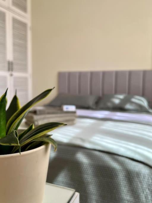 Apartamento Apartamento Bem Localizado Com Garagem *
