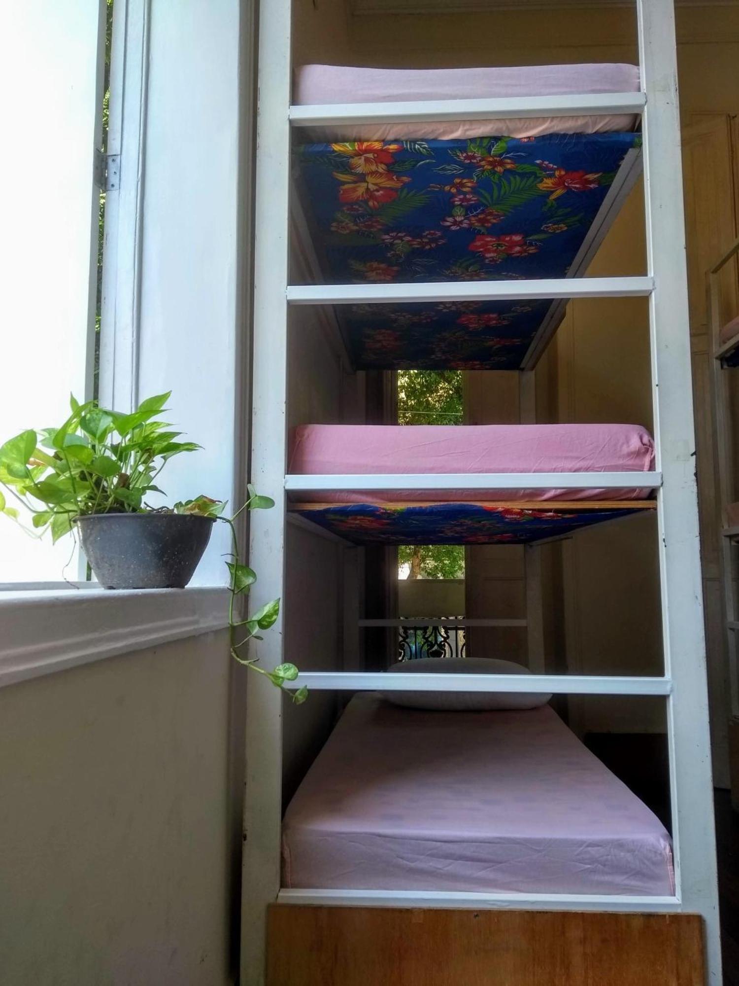 Albergue Lapa Casa
