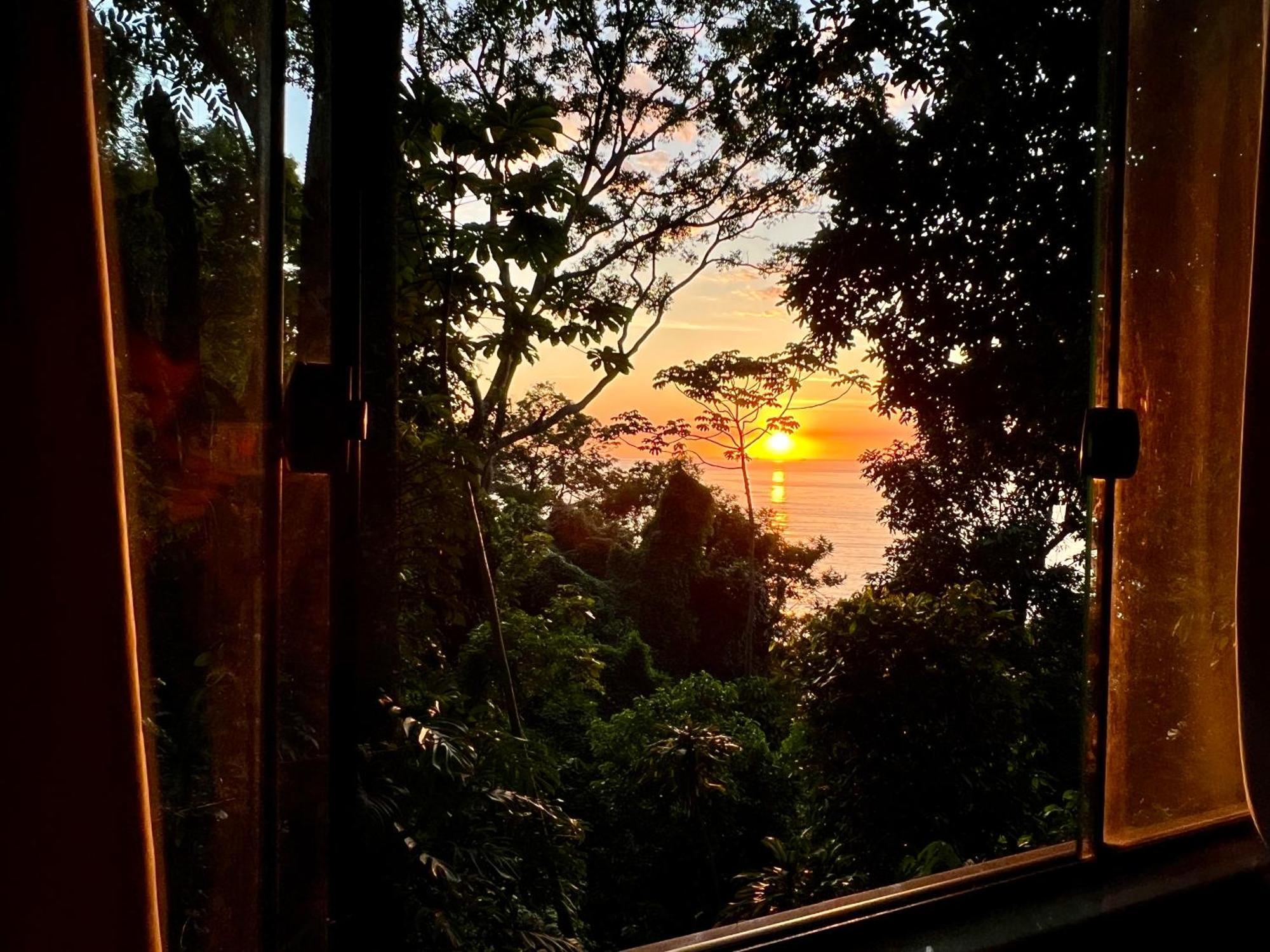 Casa de férias Amazing Forest House In The City! Private Guest - Double *