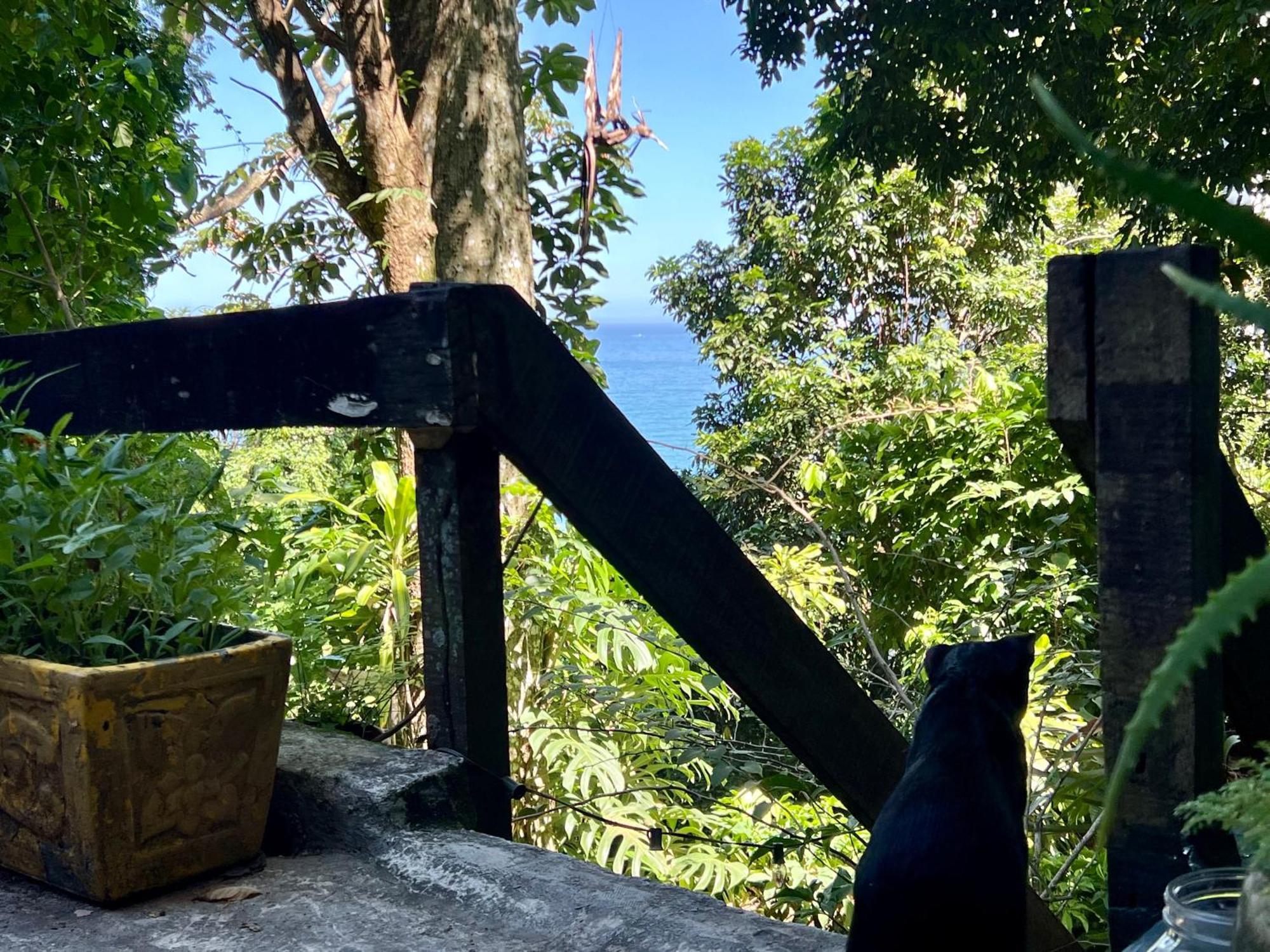 Amazing Forest House In The City! Private Guest - Double