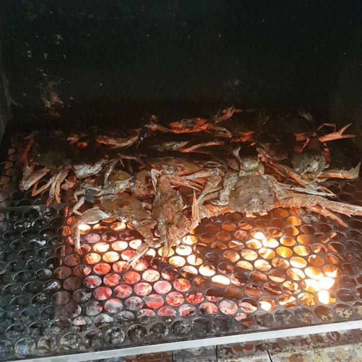 Casa de férias Casa Na Ilha Jardim Pe Na Areia