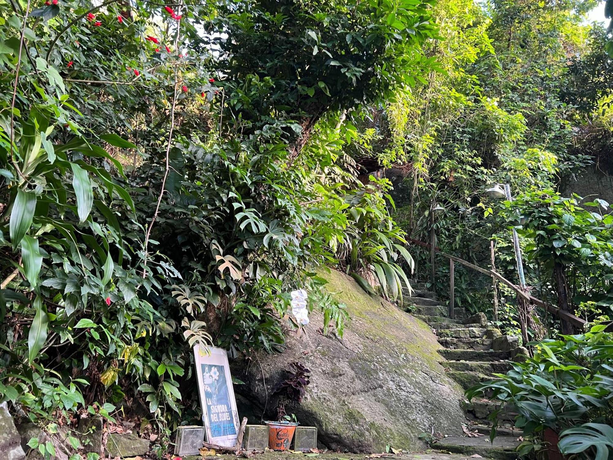 Amazing Forest House In The City! Private Guest - Double *