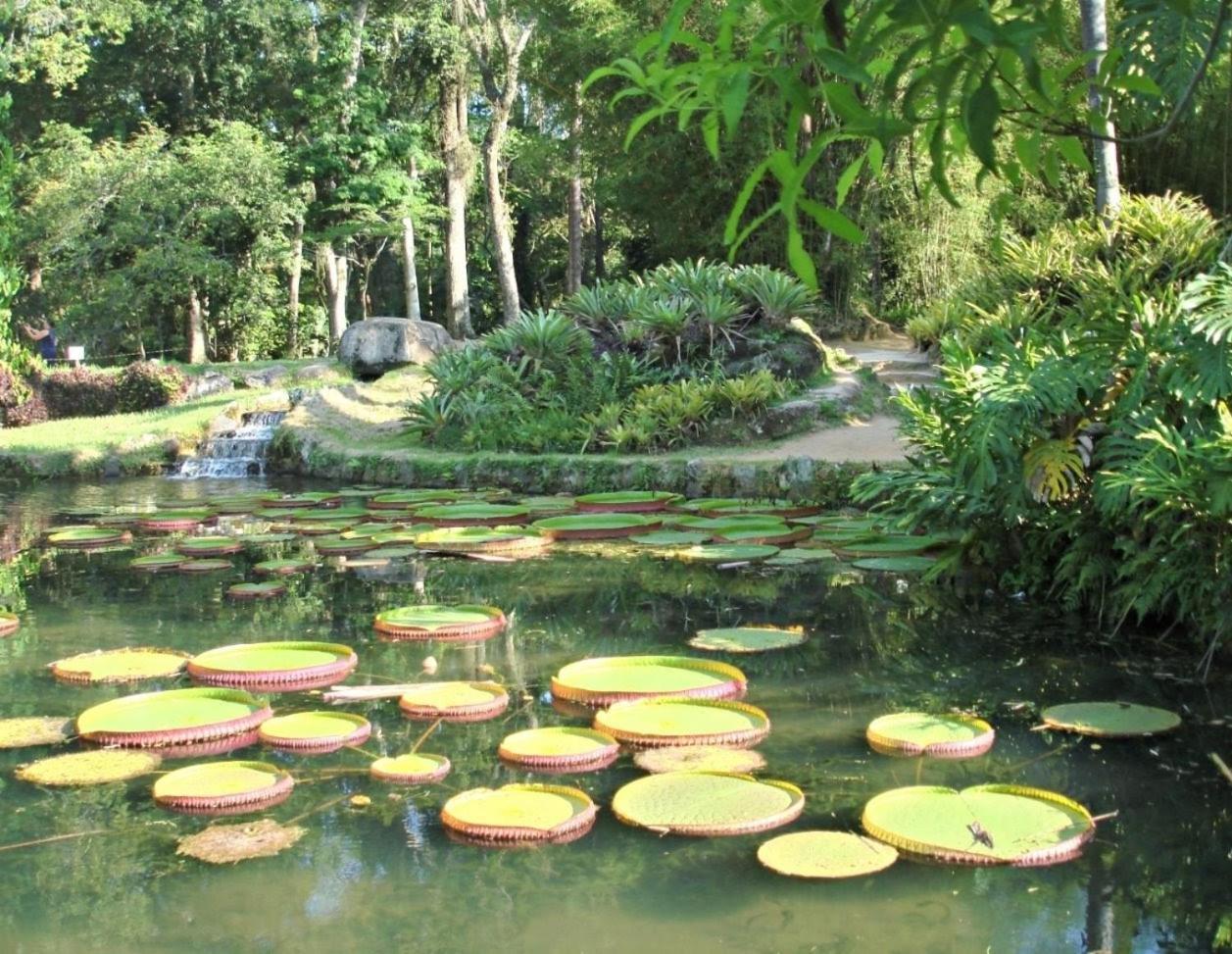 Botafogo Homestay