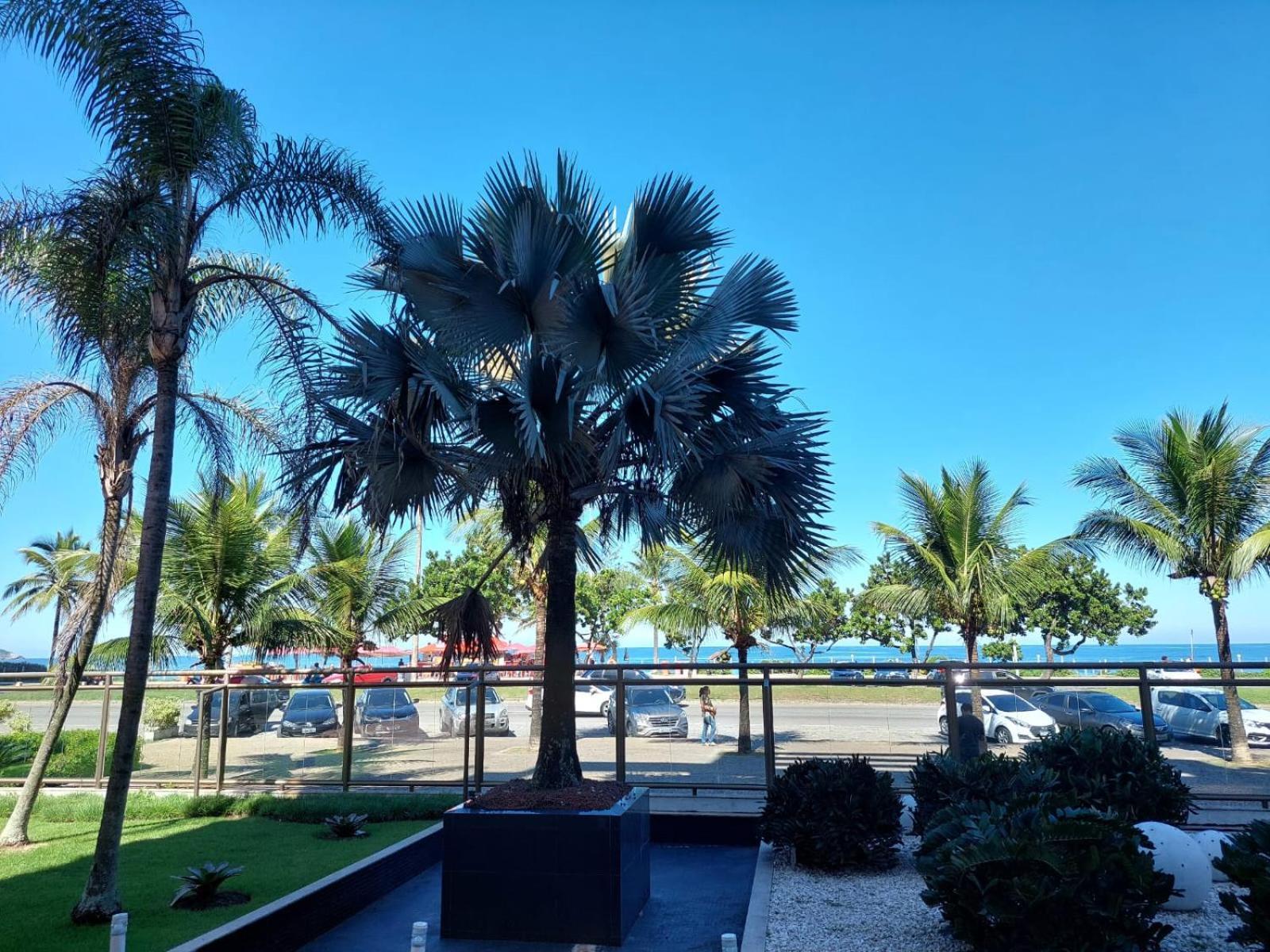 Apartamento Moderna Cobertura Duplex Com Vista Mar Barra Da Tijuca - Charme Com Infraestrutura De *