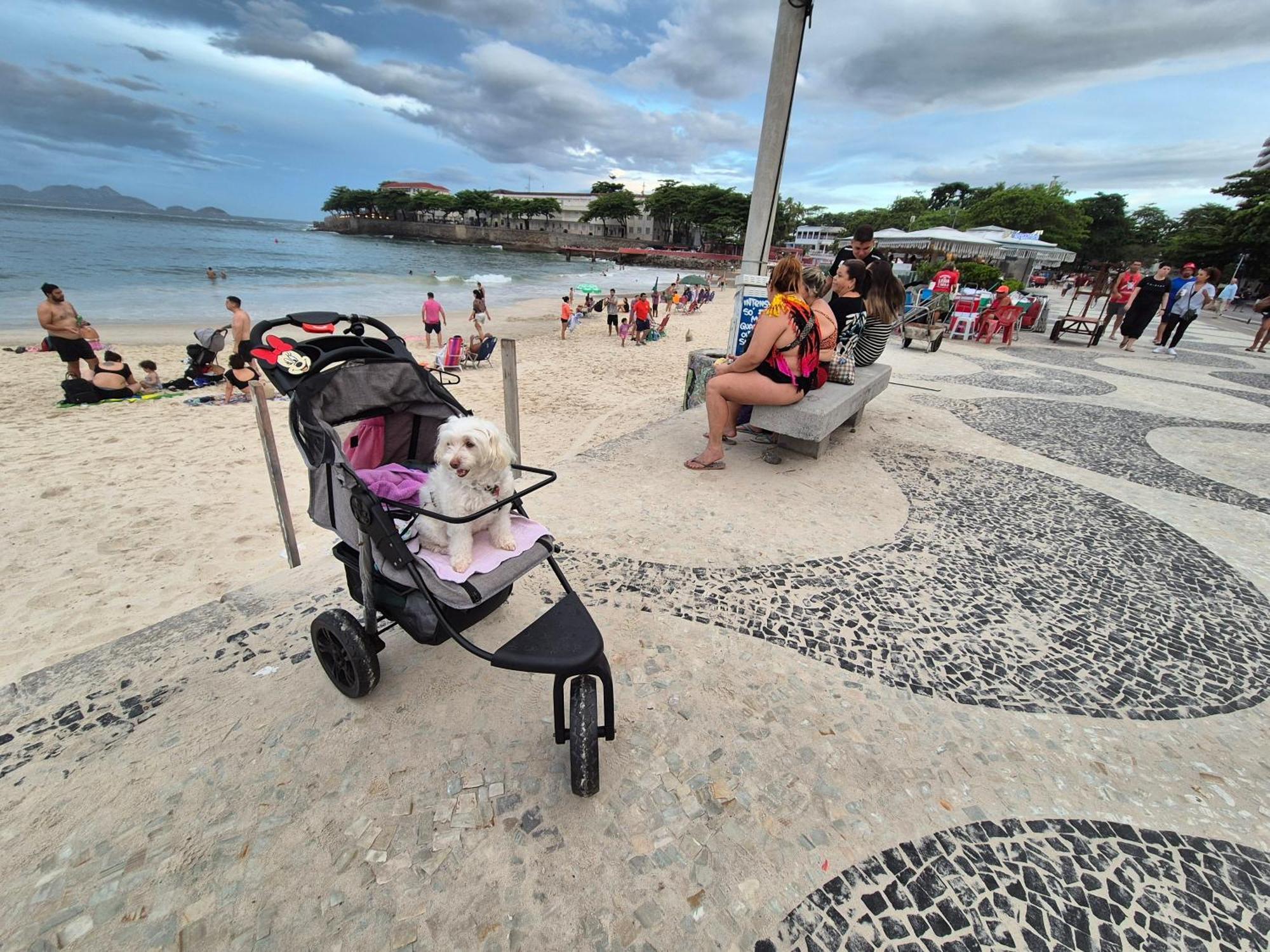 Homestay 1 C Vista Livre E Banheiro Privativo E Perto Praias Ipanema Leblon Arpoador Copacabana E Do Cristo Redentor Do Bondinho Pao Acucar Etc Chegando Cedo Que O Check-in Do Meio-dia, Deixe Suas Malas, Idem No Check-out 10h Manha Rio de Janeiro