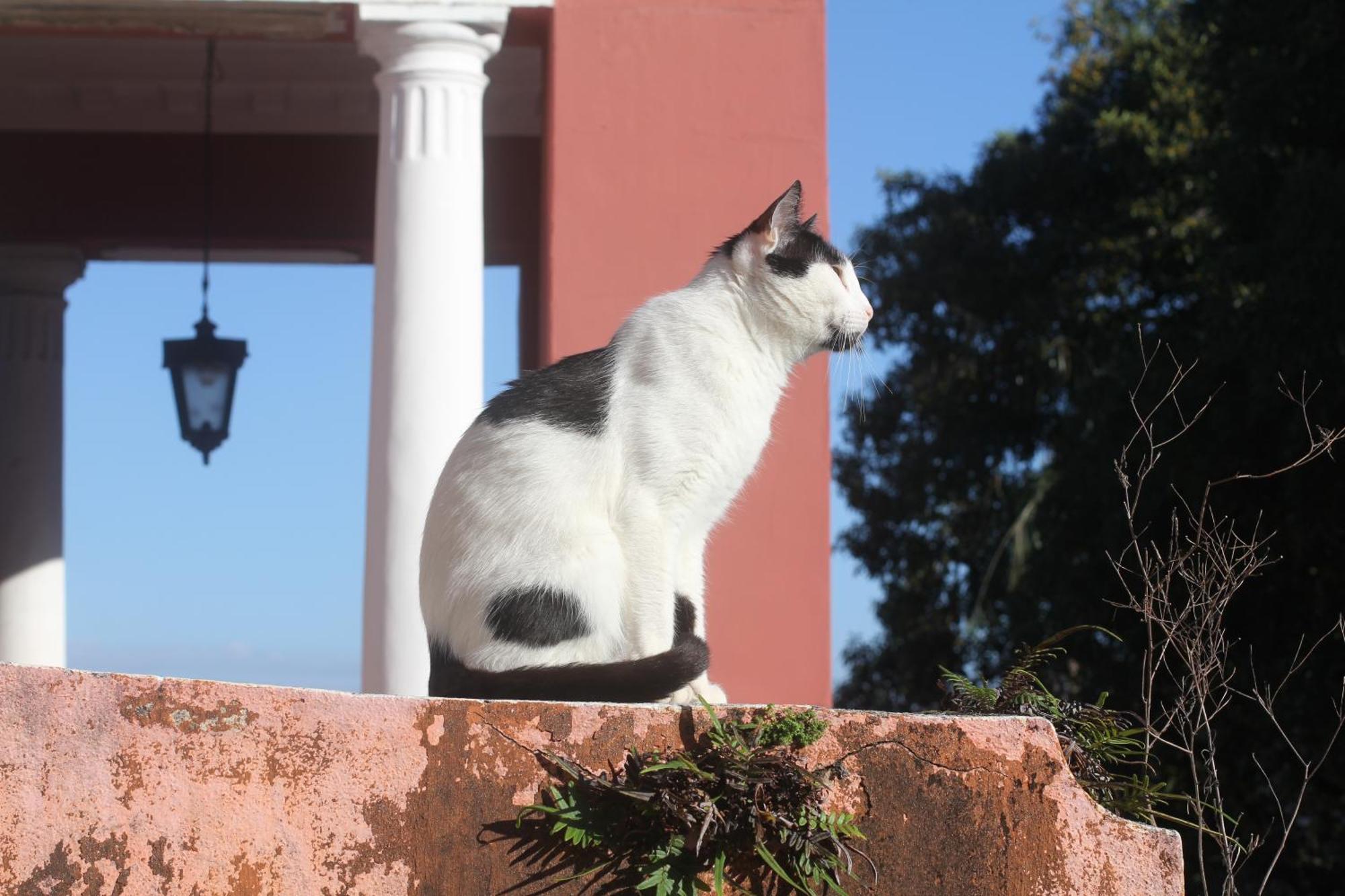 Casa Laranja Guest house