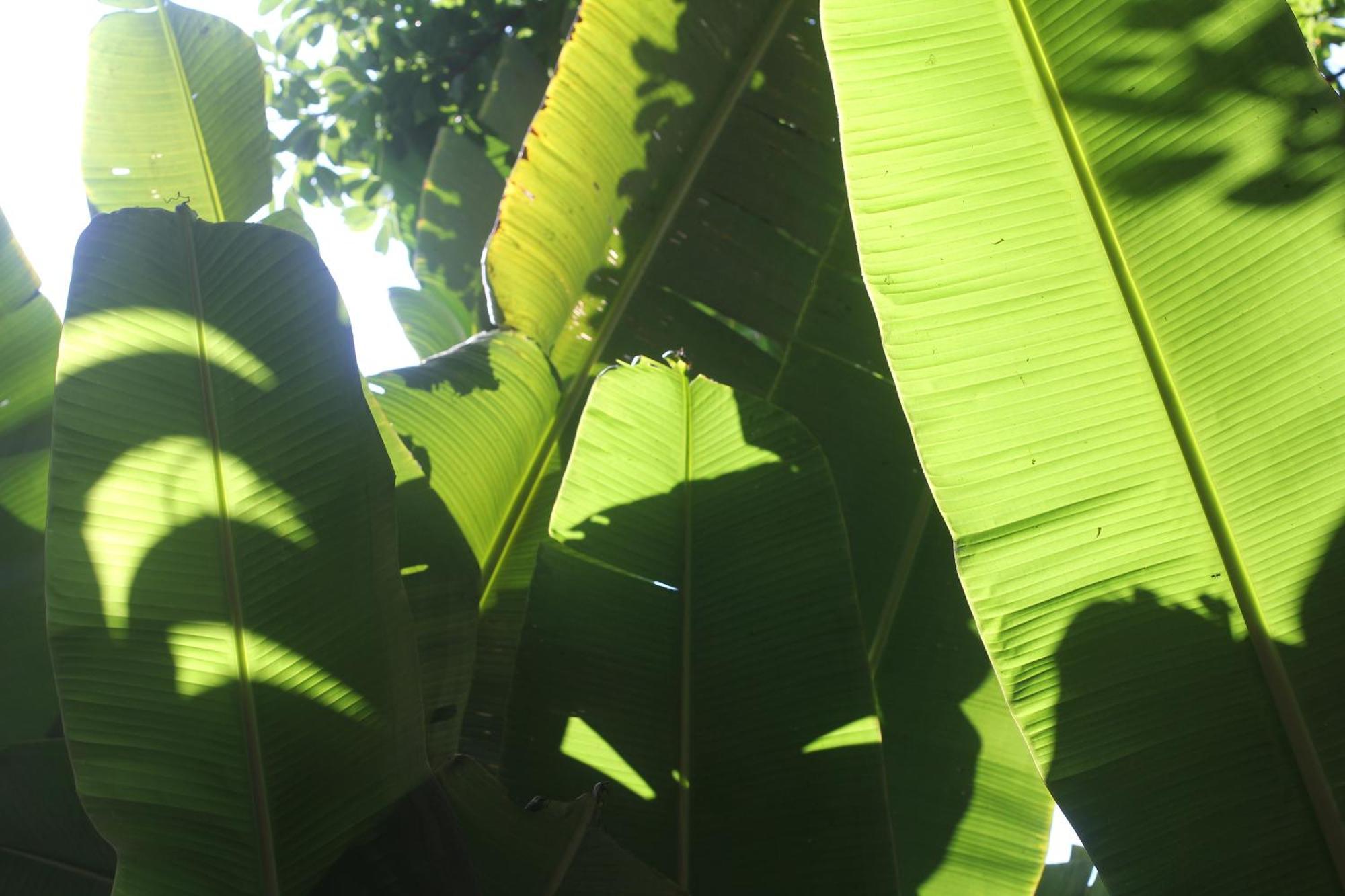 Casa Laranja Guest house Rio de Janeiro