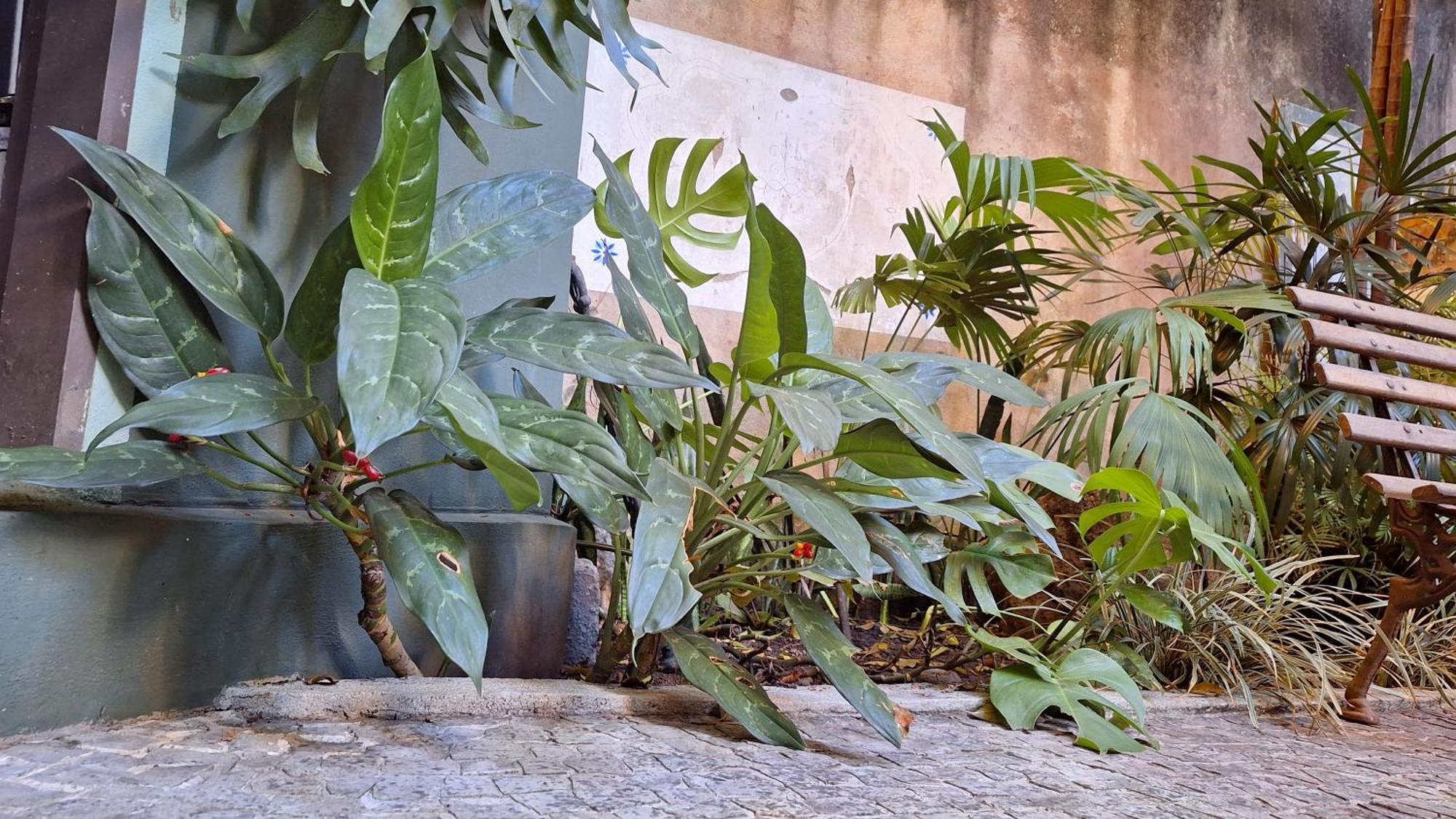Guest house Casa Laranja *