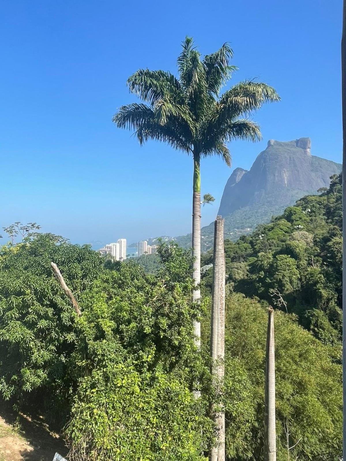 Mansao Sao Conrado *
