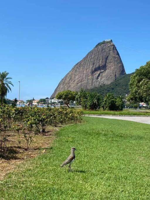 Apartamento Casal No Flamengo Rio de Janeiro