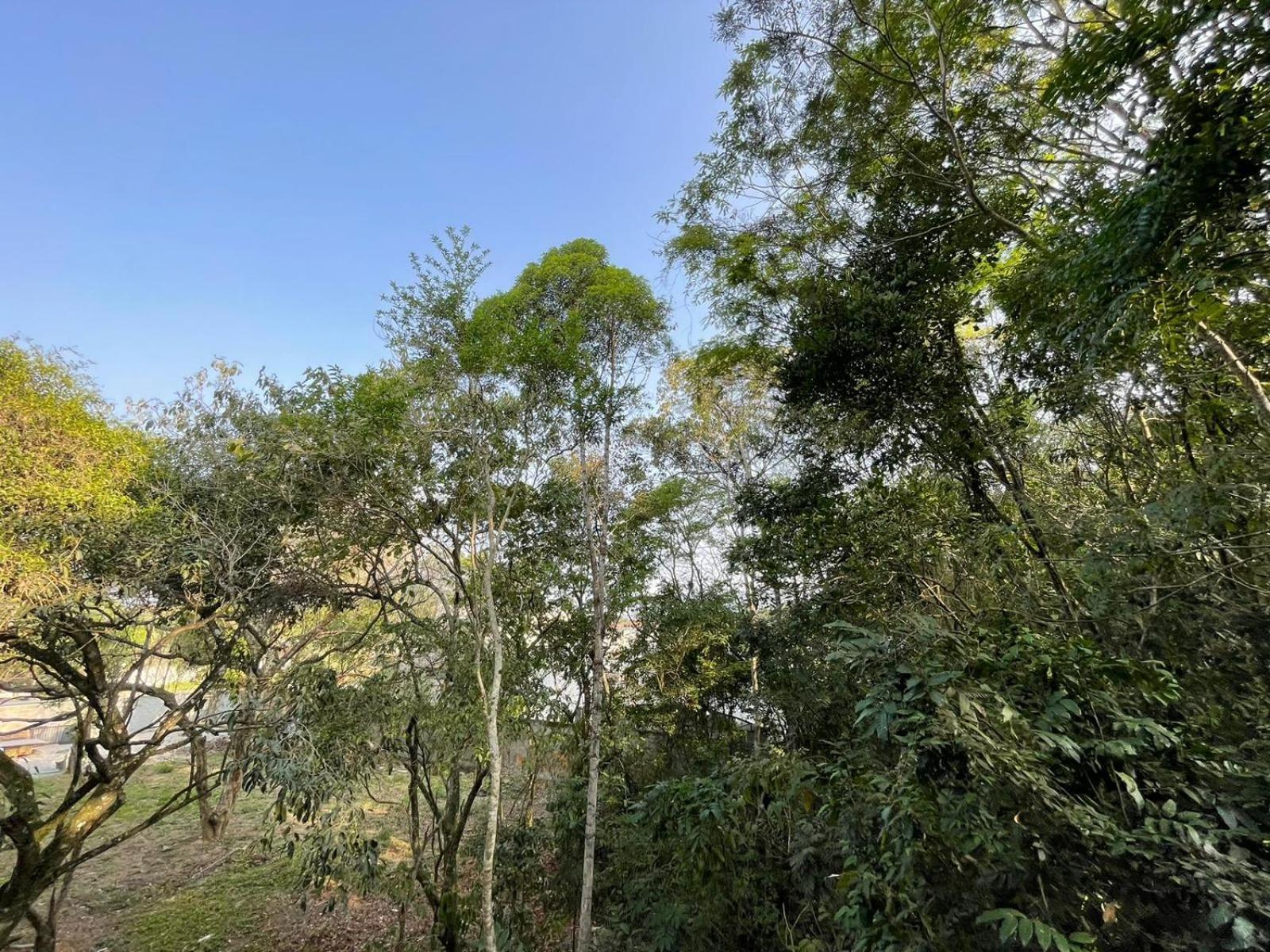 Conforto E Natureza No Rio De Janeiro Apartment *