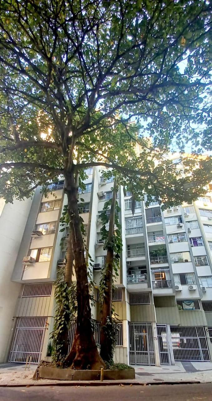 Avarandado 3 Quartos 1 A 5 Min Da *