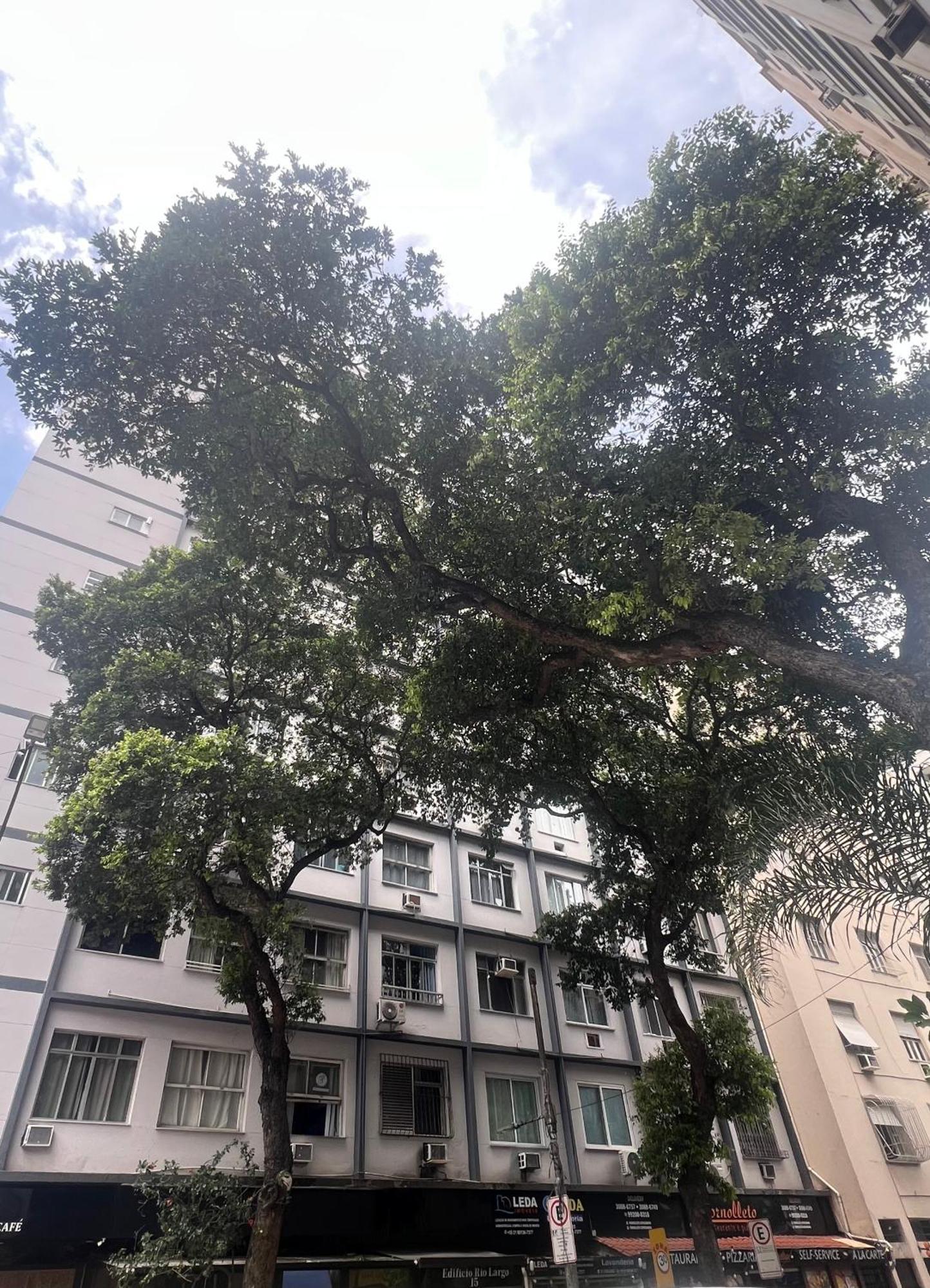 Apartment Moderno Em Copacabana Otimo Lugar *