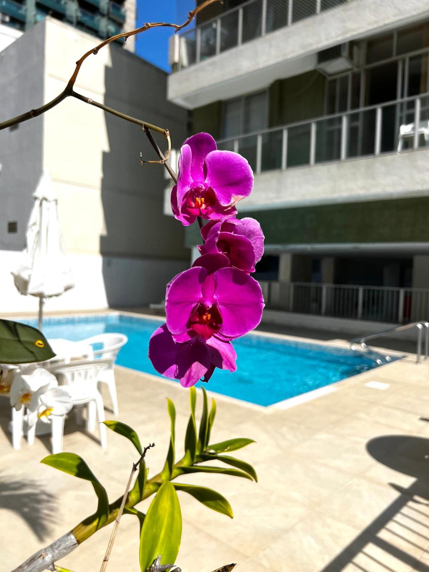 Unhotel Style Carioca Em Ipanema Piscina, E Metro *