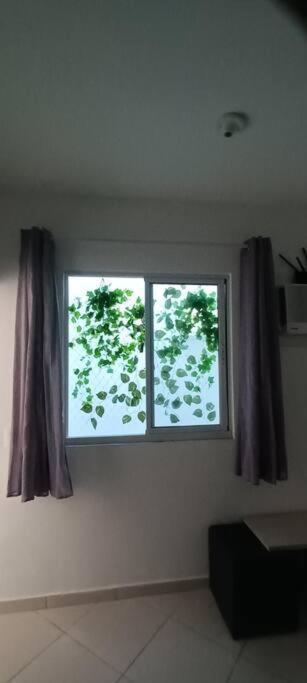 Apartamento Refugio Carioca Rj *