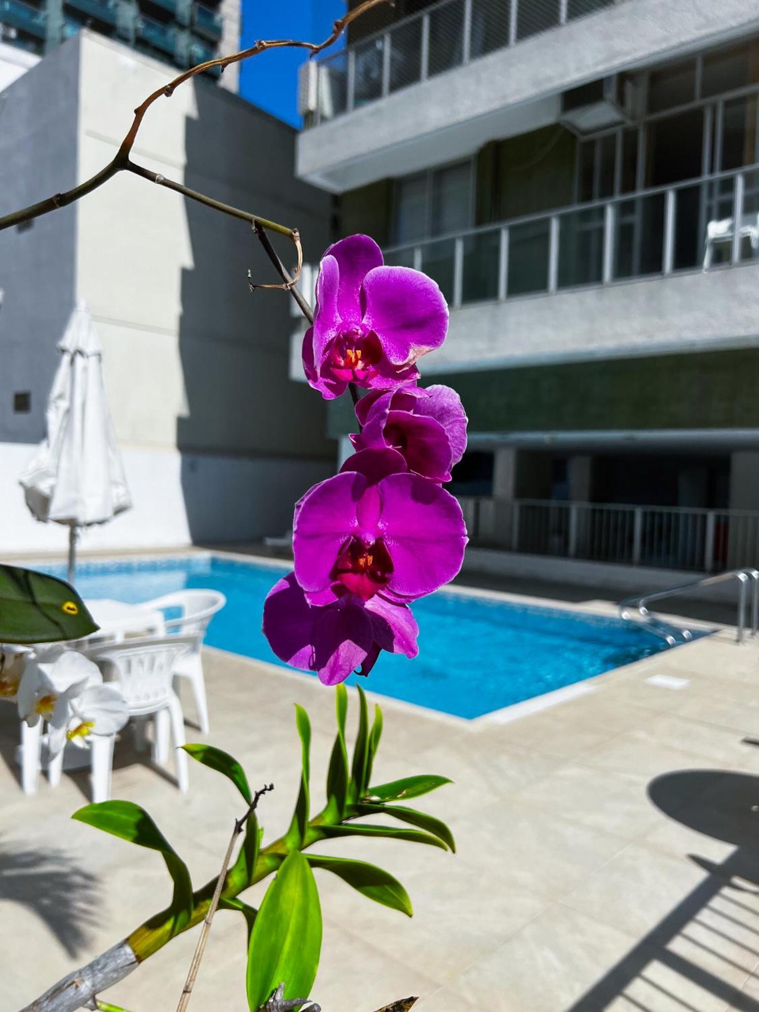 Apartment Unhotel Style Carioca Em Ipanema Piscina, E Metro *