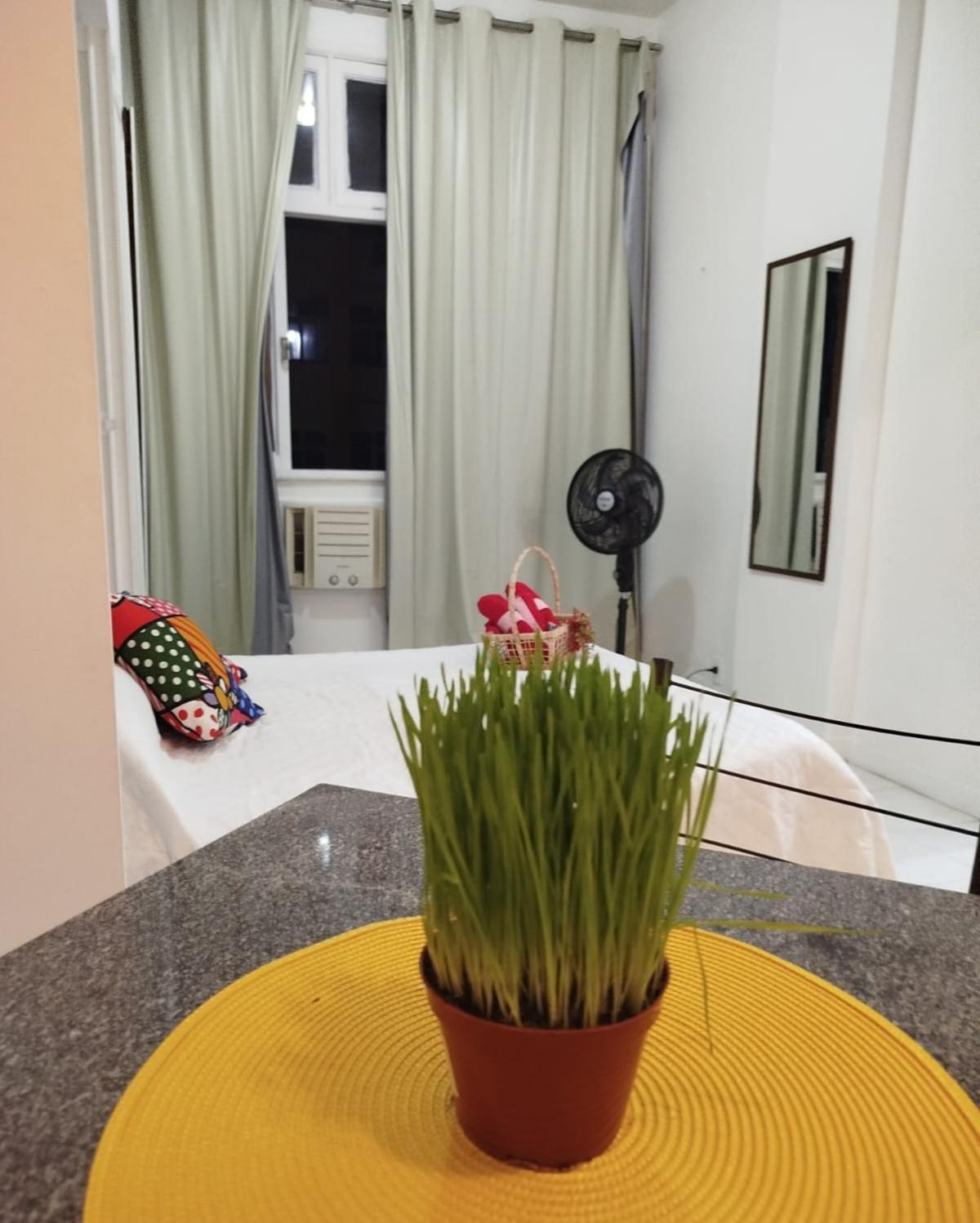 Apartment Ensuenos8 *