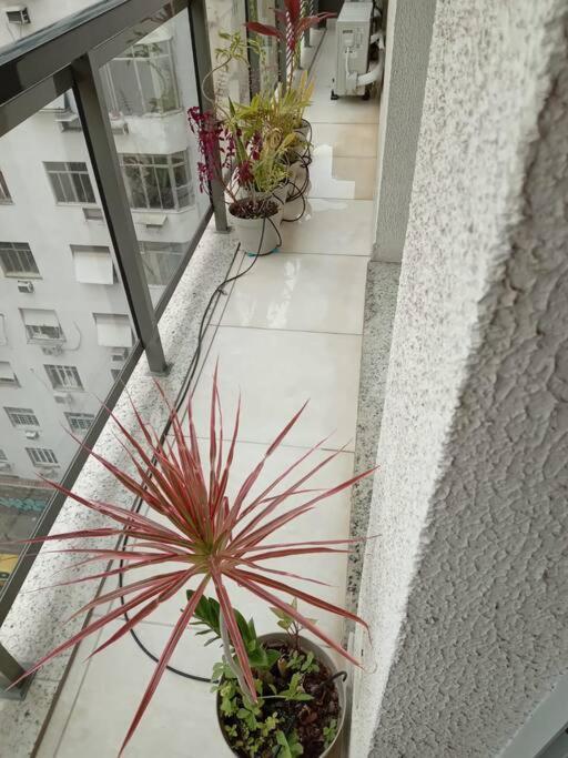 Apto 901 - Mood - Centro - Rj Apartamento Rio de Janeiro