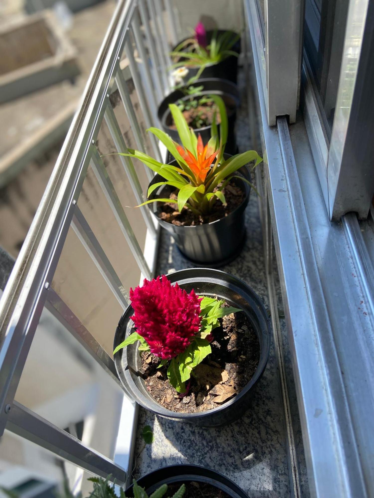 Apartment Charme Beija Flor