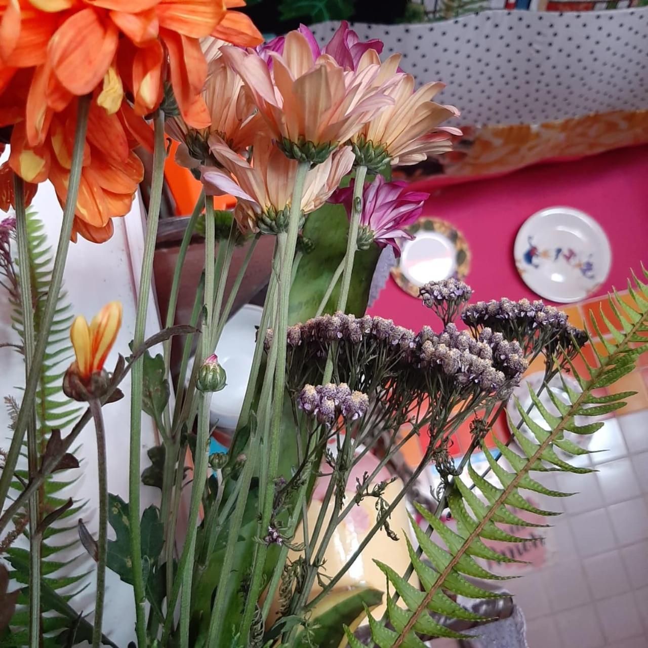 Homestay Cozy Botafogo Hostel *