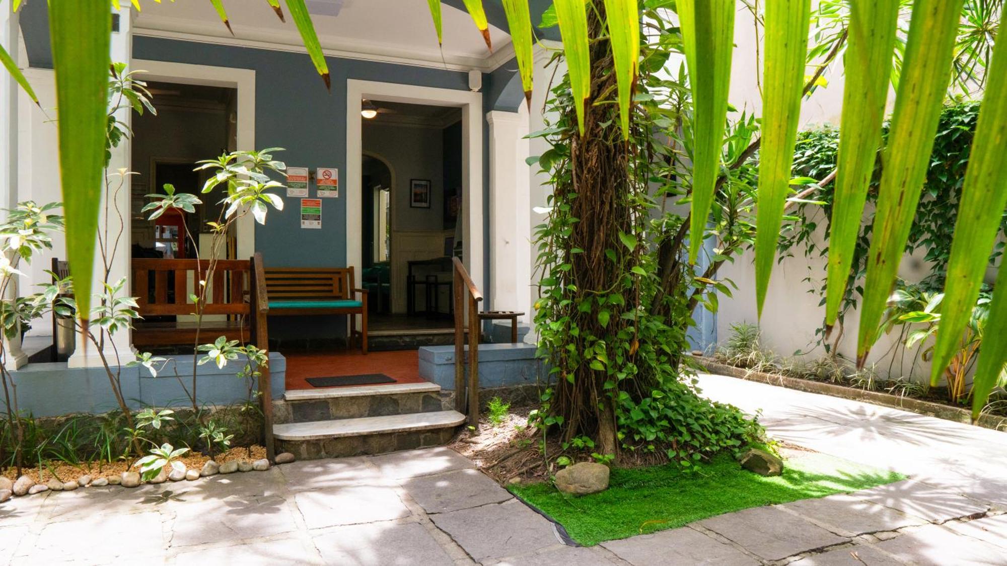 Mango Tree Ipanema