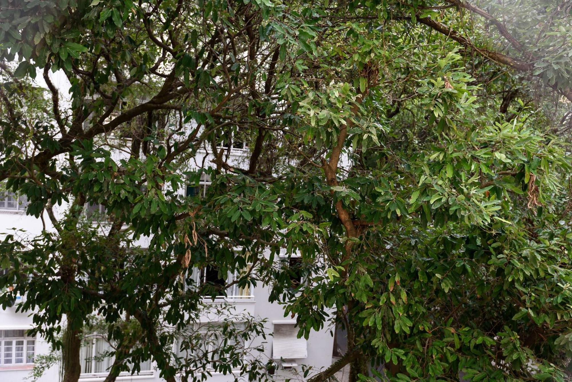 Charmoso 2qtos A 250m Da | Cr 73/503 Apartamento *