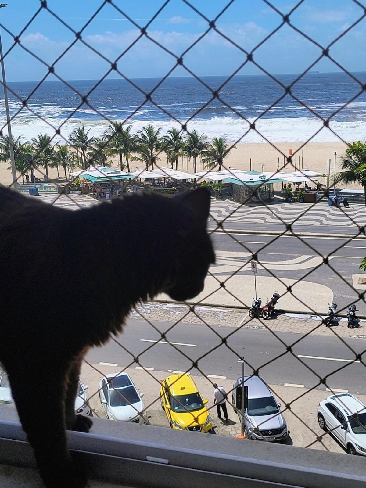 Leme - Front Sea Large Apto Exclusive For * Rio de Janeiro
