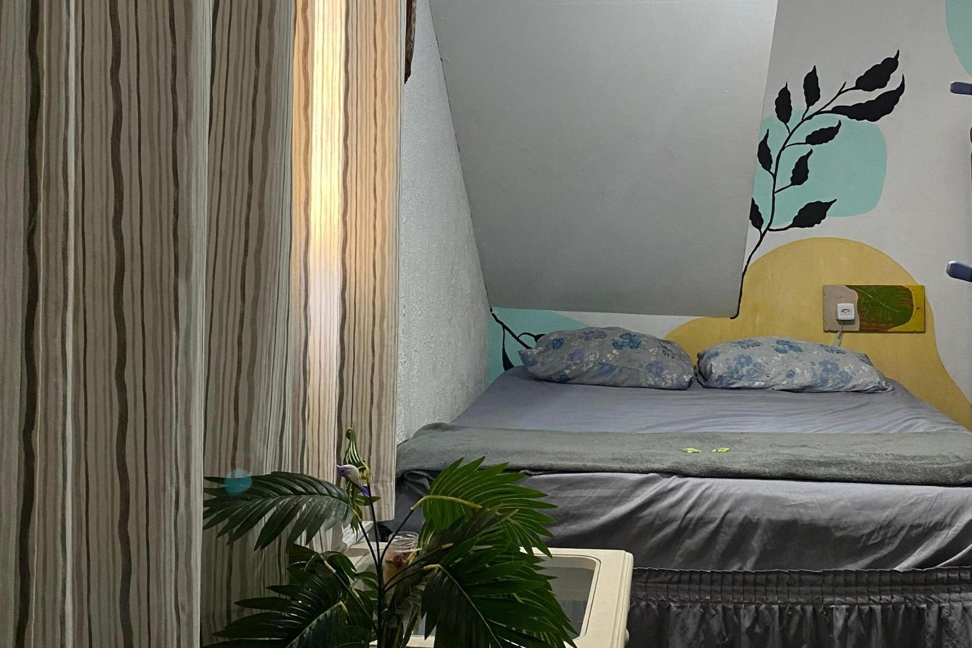Rio Surf House E Albergue