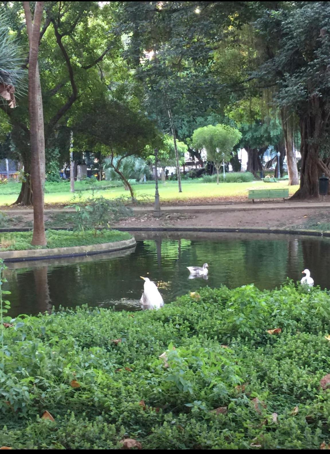 Apartment Charmoso Na Lapa *