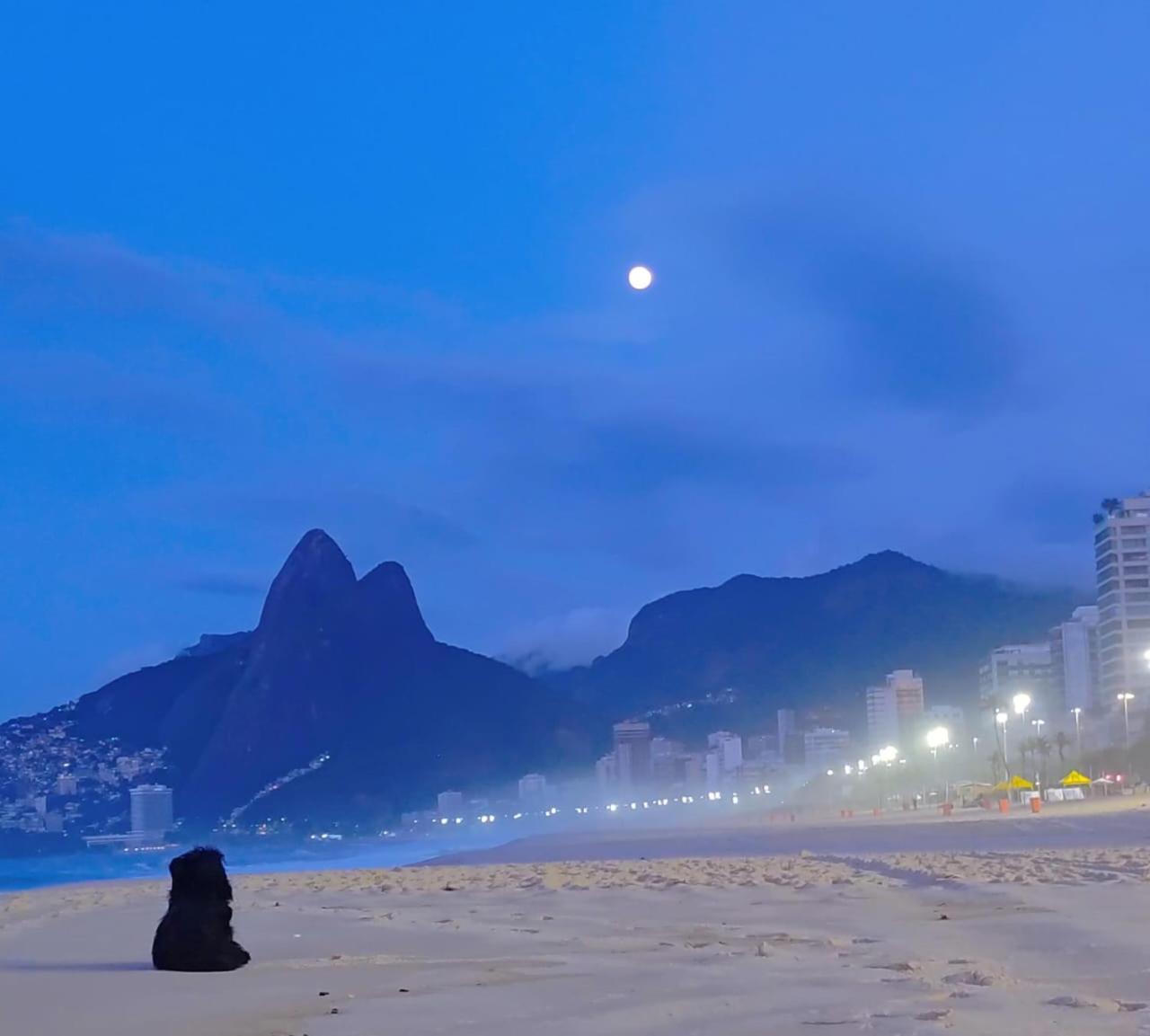 Apartment Linda Cobertura Ipanema Quadra Da C Sauna E 2 Rio de Janeiro
