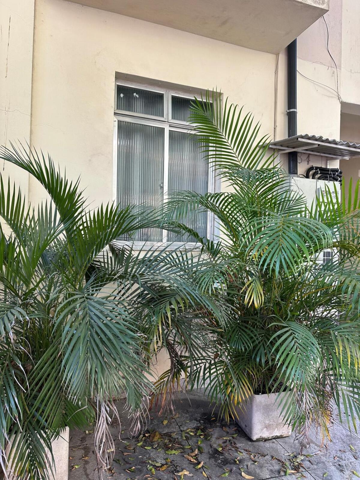 Apartamento Great In Botafogo Near Beaches Zs *