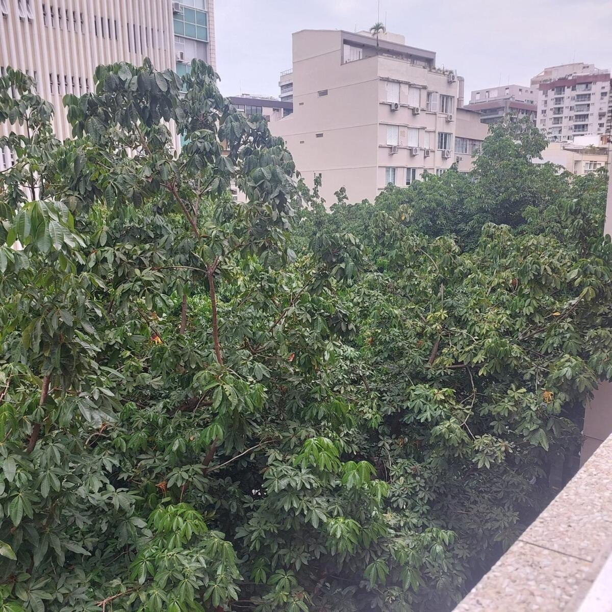 Apto 1 - Leblon * Rio de Janeiro