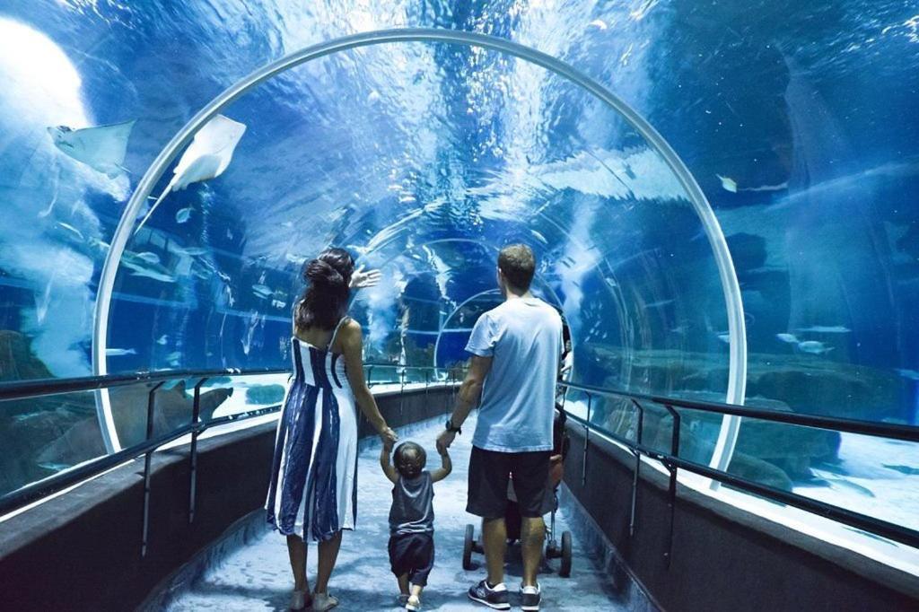 Temporada Prime - + 1 Ticket Ou Transfer Apartamento Rio de Janeiro