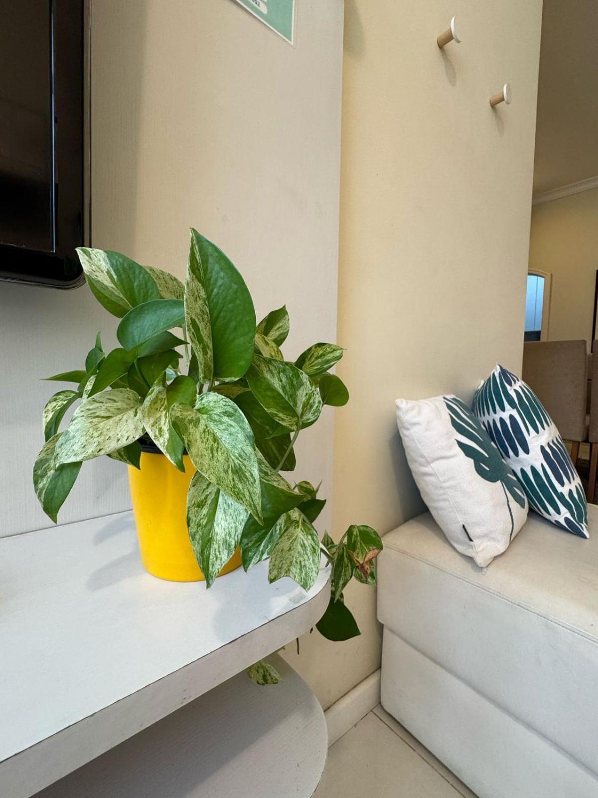 Apartamento Bem Localizado Com Garagem Apartamento