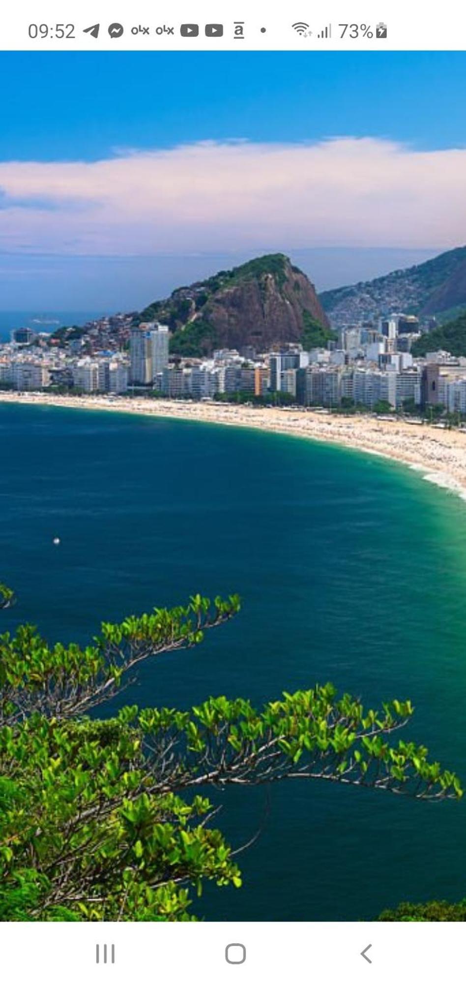 Apartamento Compartilhado Em Del Castilho