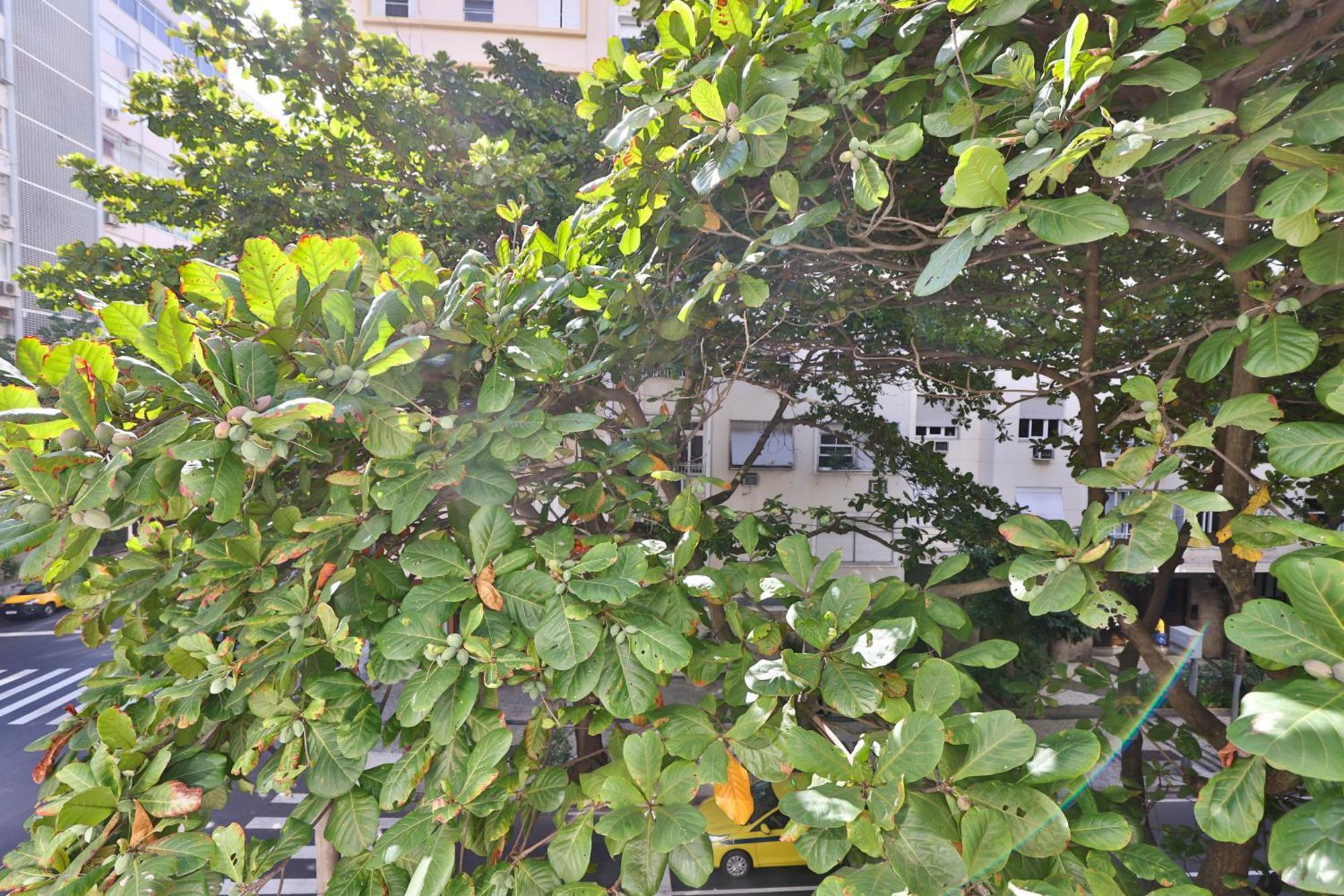 Apartamento 304 Copa Ipa Arpoador *