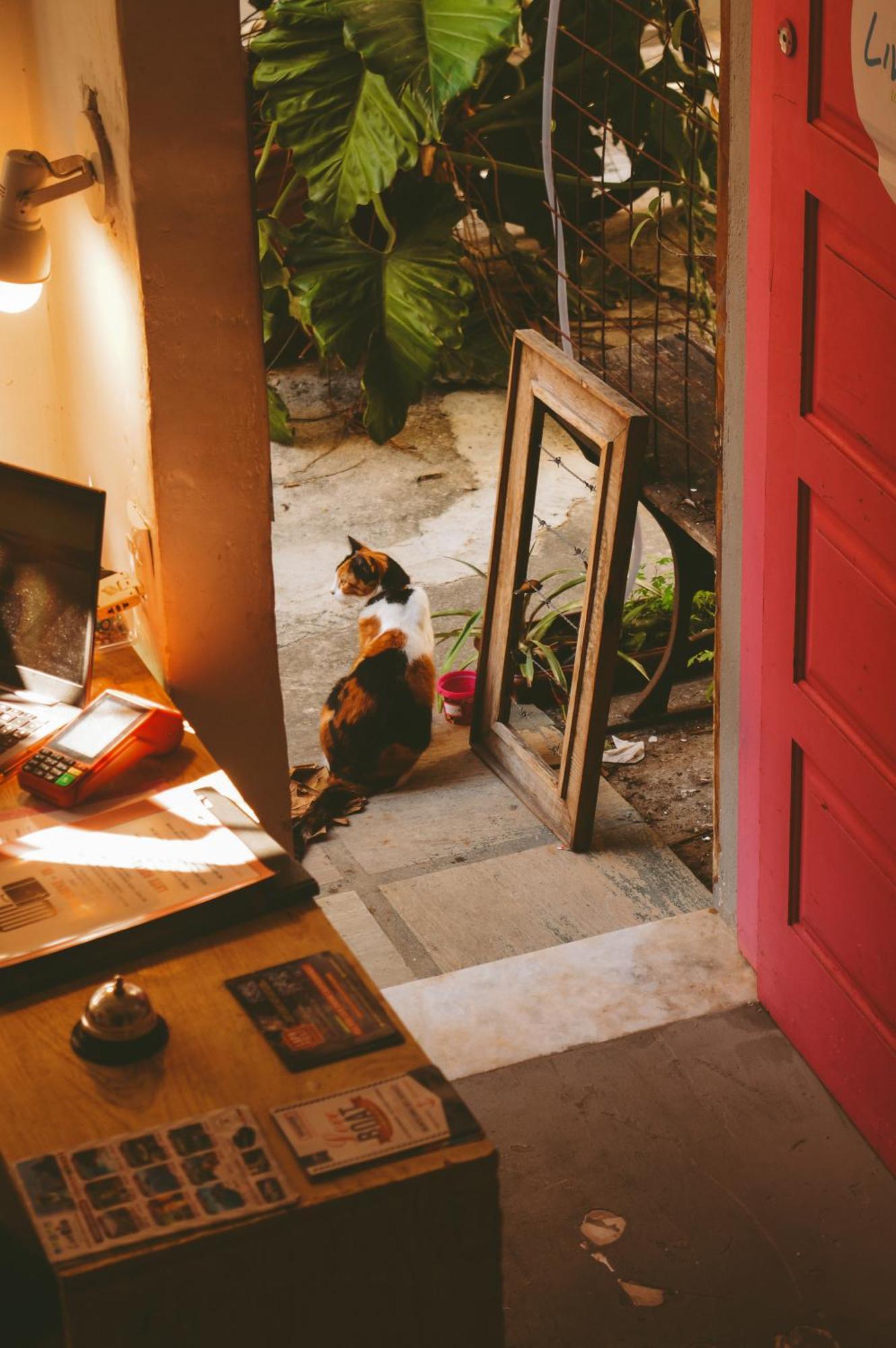 Casa de hóspedes Liverio Ipanema Rio de Janeiro