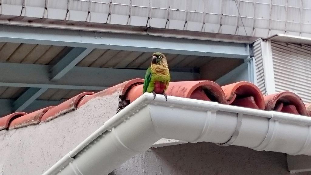 Gávea Alojamento de Acomodação e Pequeno-almoço 2*