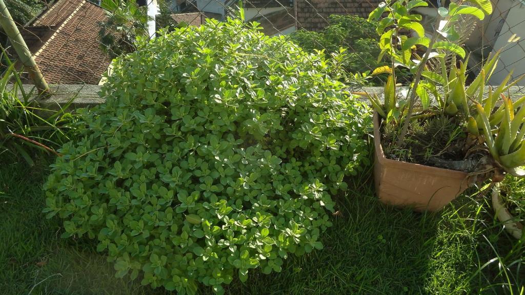 Casa Da Gente Alojamento de Acomodação e Pequeno-almoço 3*
