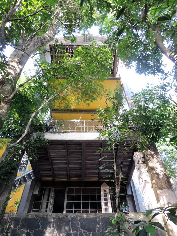 Vitoria Regia Bed & Breakfast