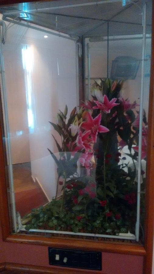 Hotel do amor Magnus Norte (adults Only) 2*