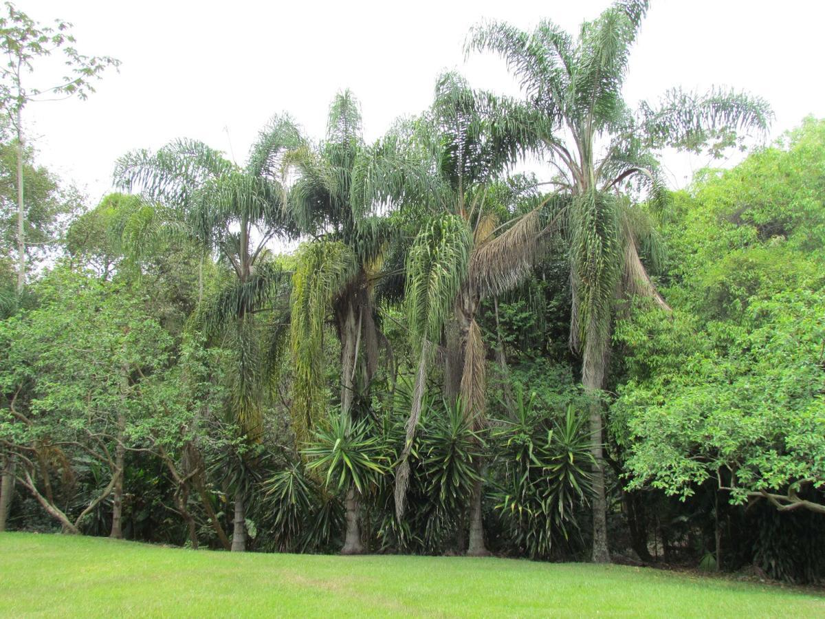 Relicario Rio de Janeiro