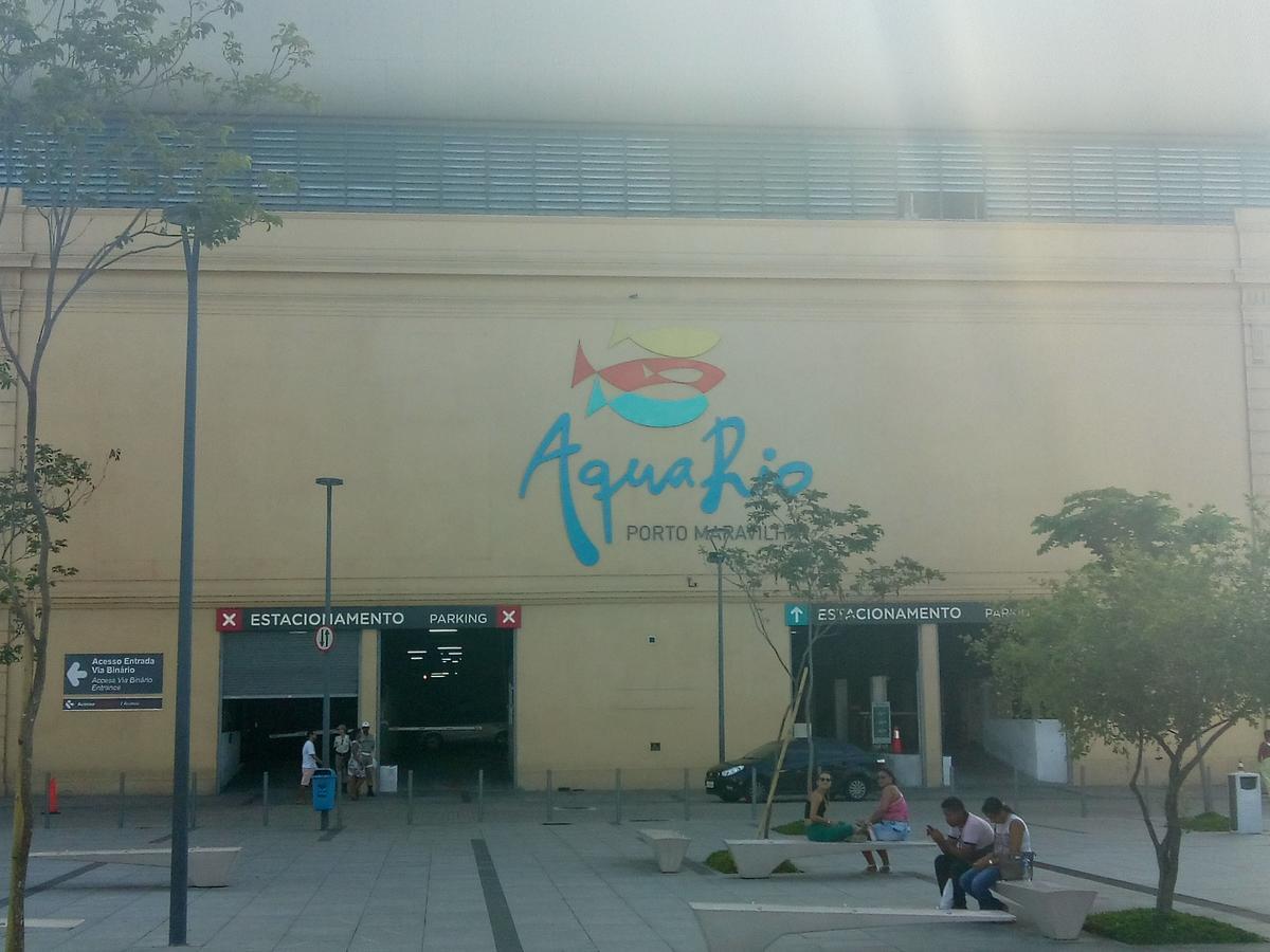 Mota Rio de Janeiro